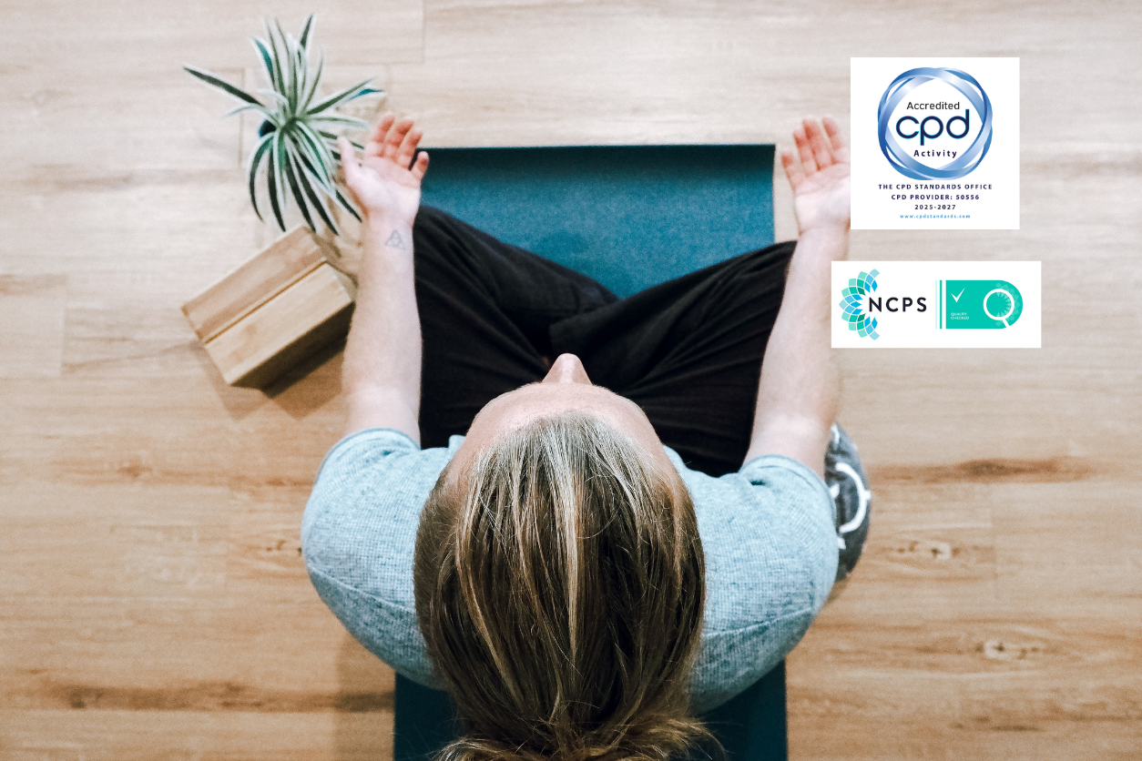 Working with Mindfulness 1-Day Course